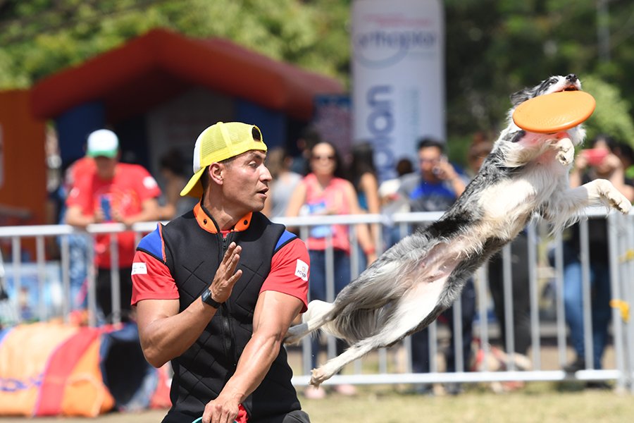 Las mascotas le pusieron salsa a la alegría