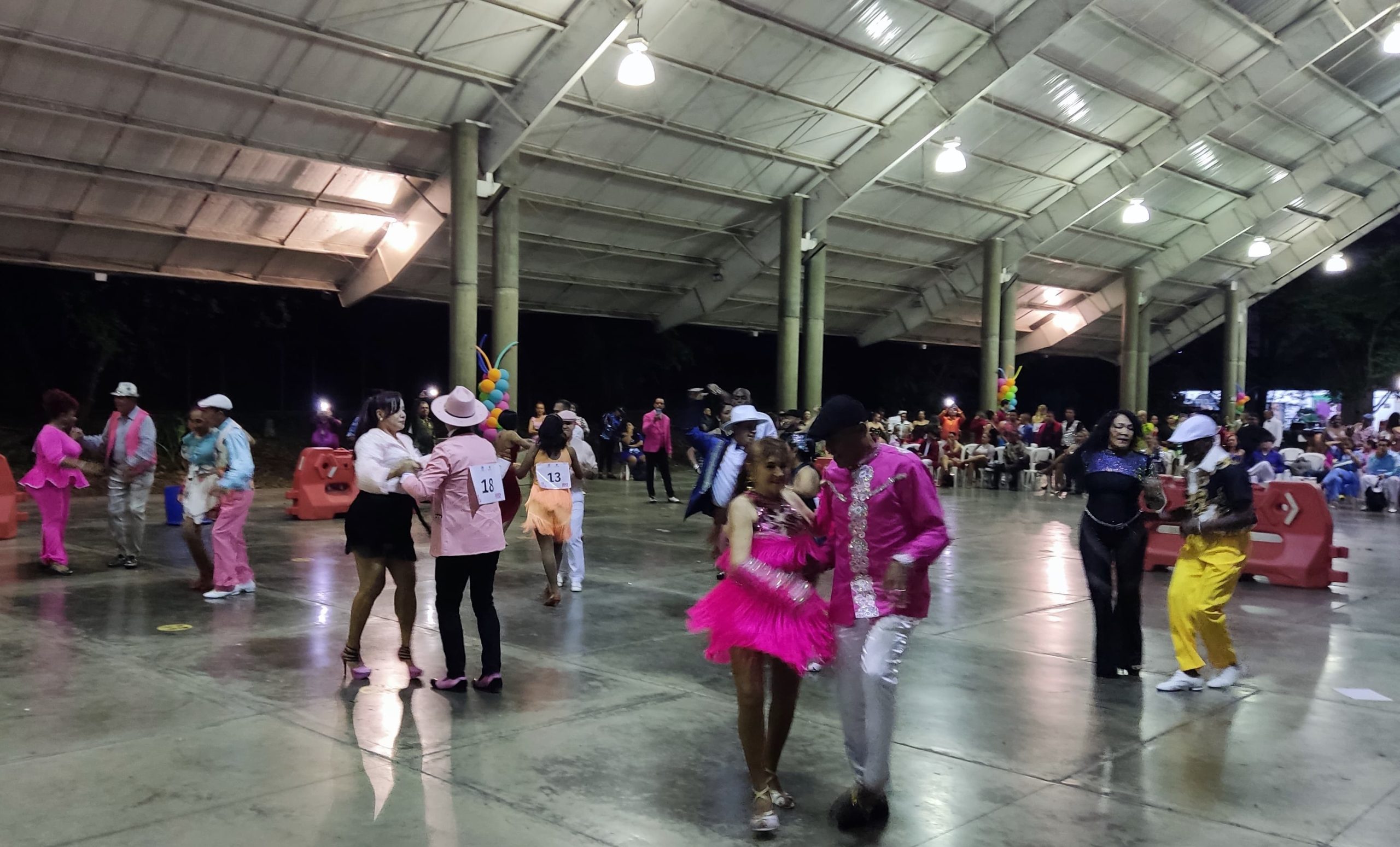 Escogidos los ‘Bailadores’ que participarán en el Salsódromo